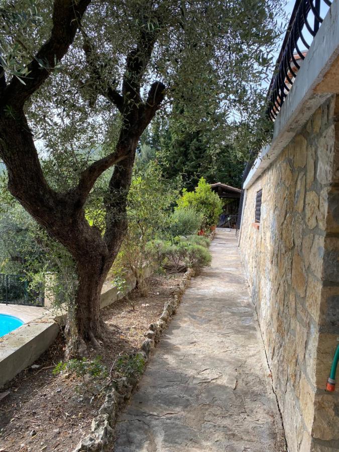Entre Nice Et Monaco Grande Villa Avec Piscine Privee 12 Personnes Drap Exterior foto